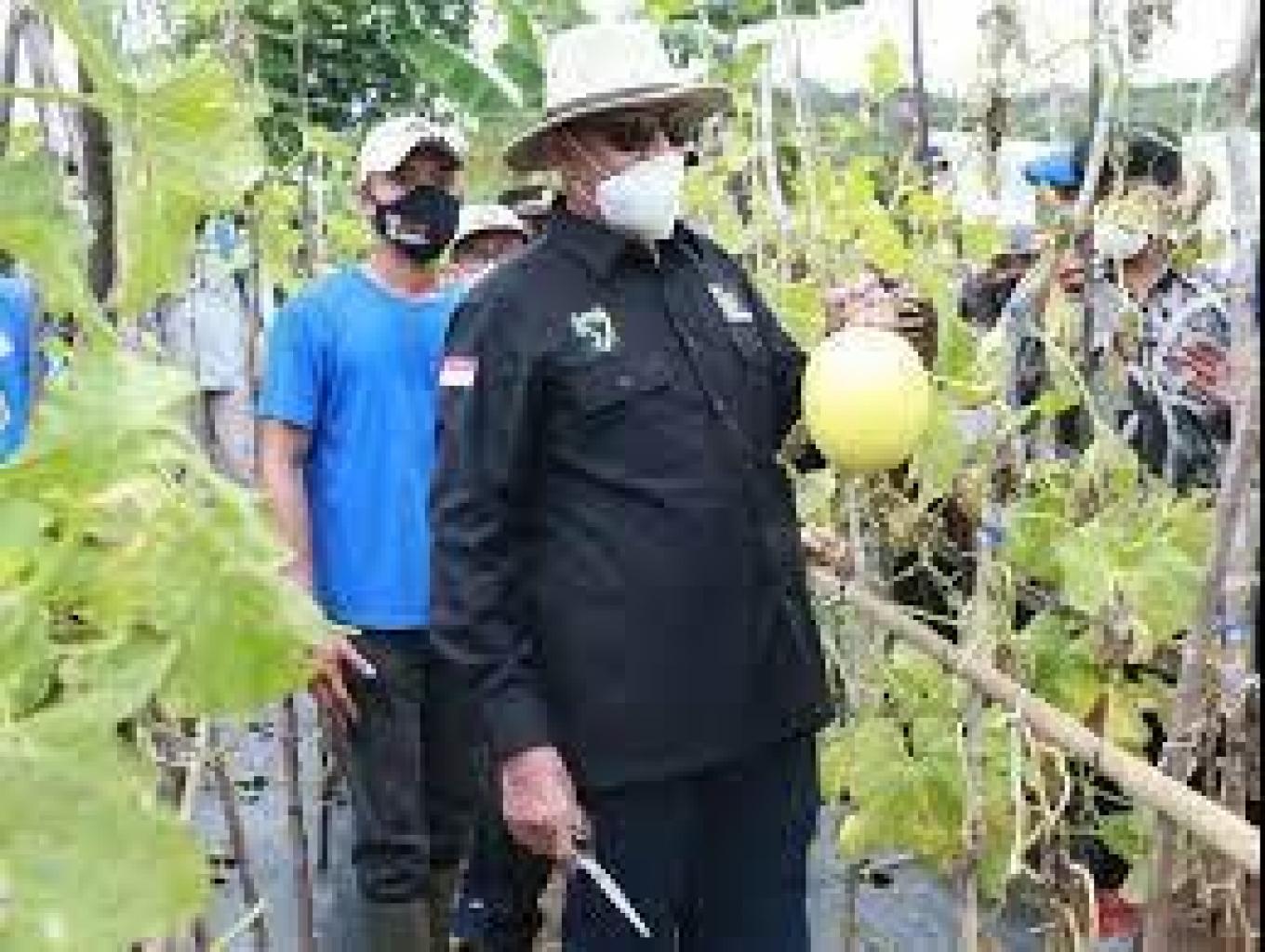 Paket Atraksi Kebun Melon
