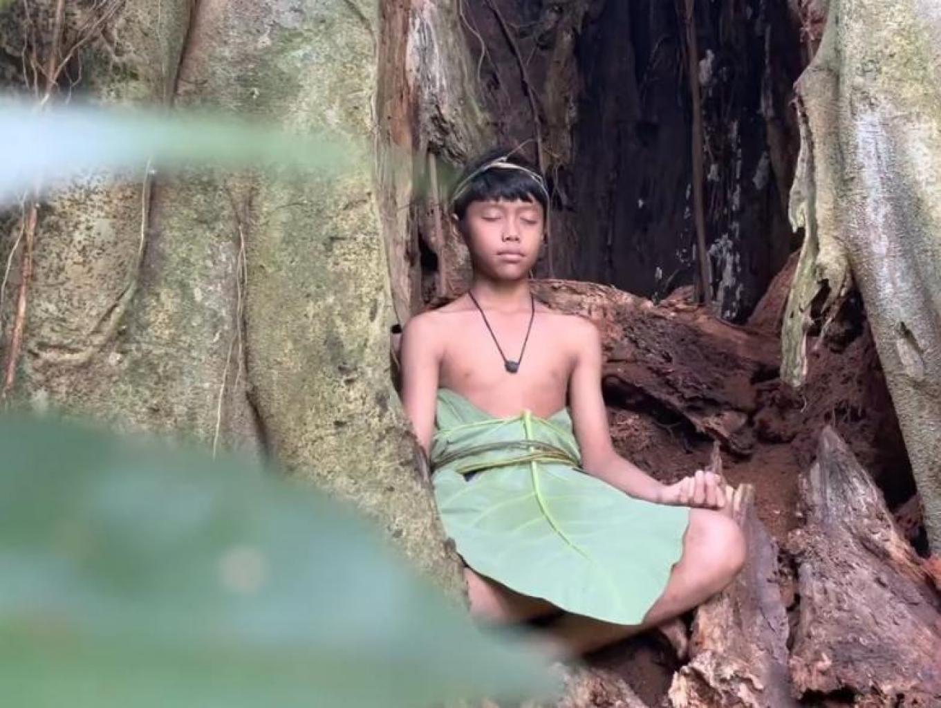 Healing Forest