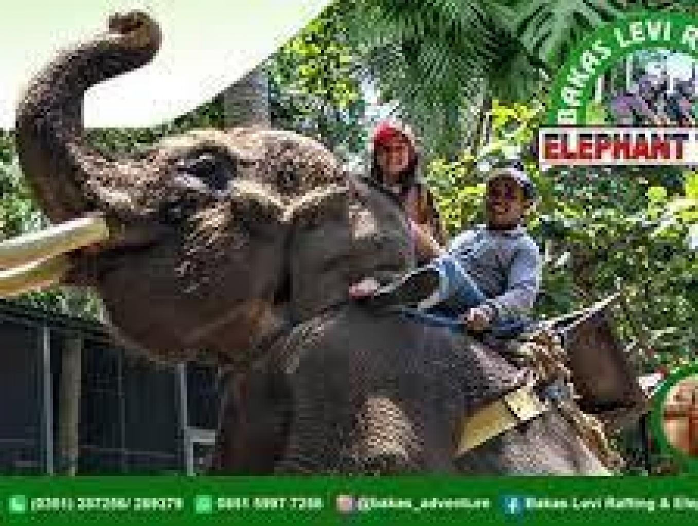 Bakas Elephant Tour