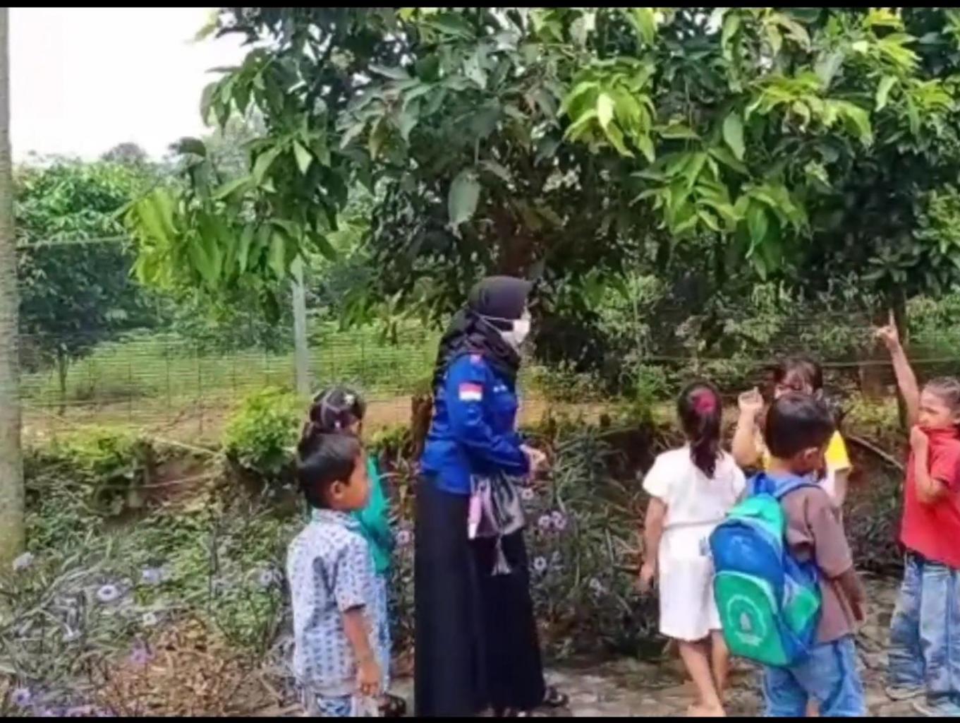 Edukasi / Field Trip Tanaman Buah,menanam & Memetik Buah Dan Sayur