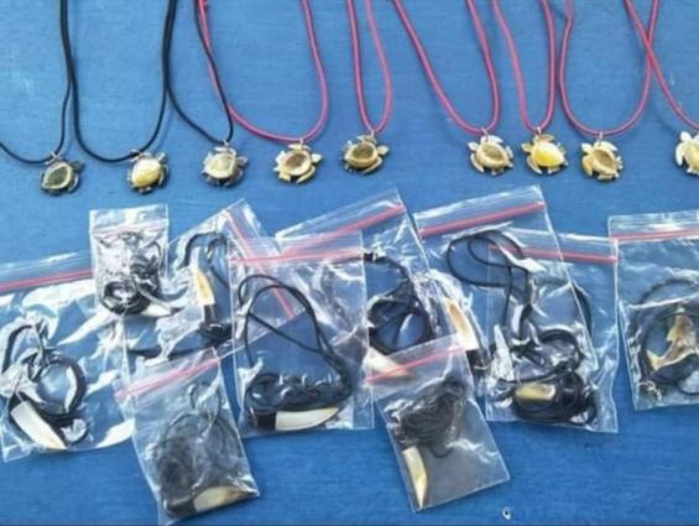 Kalung Kerang