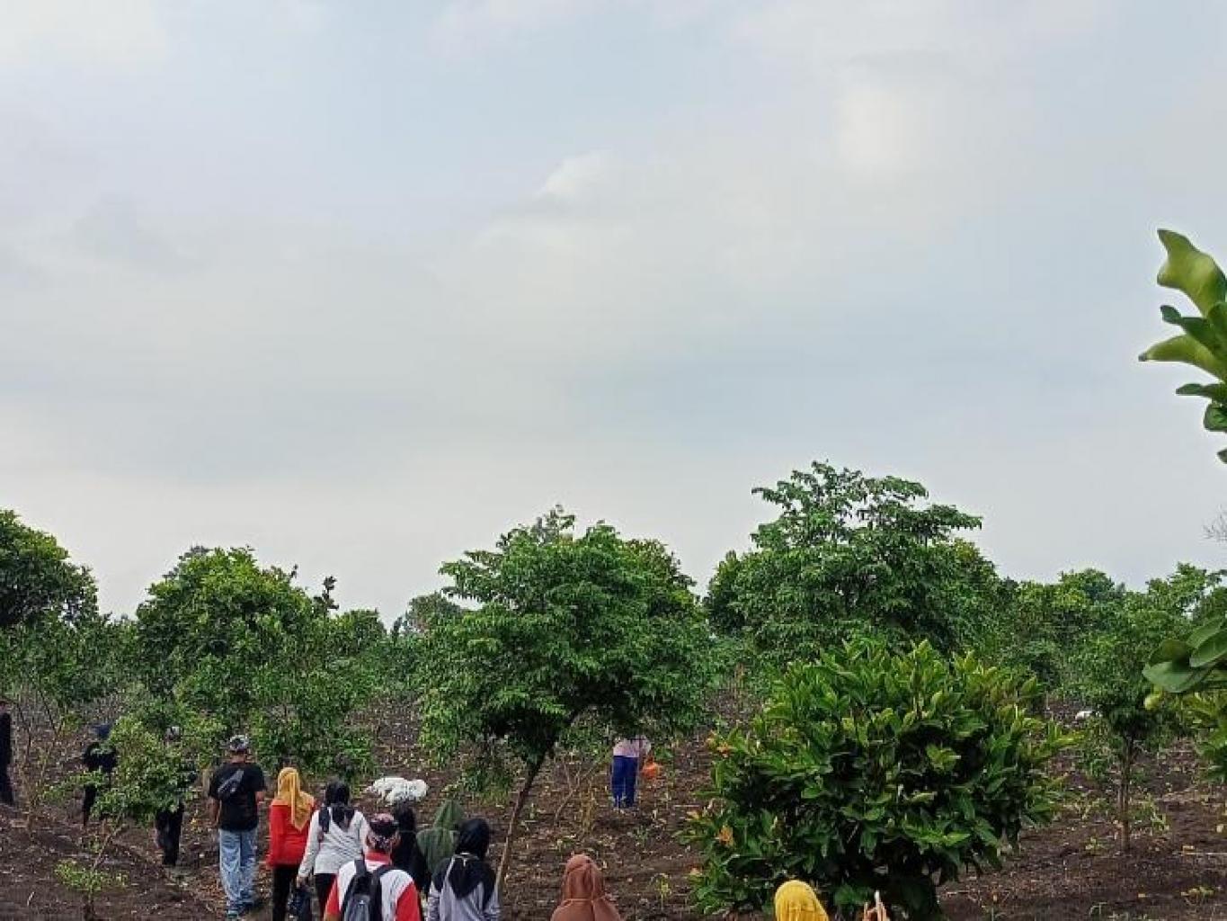 Jalan-jalan Desa