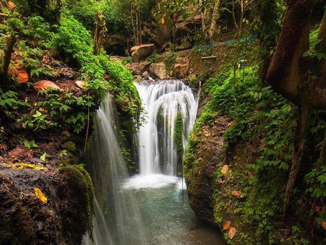 Air Terjun Gunung Janggot