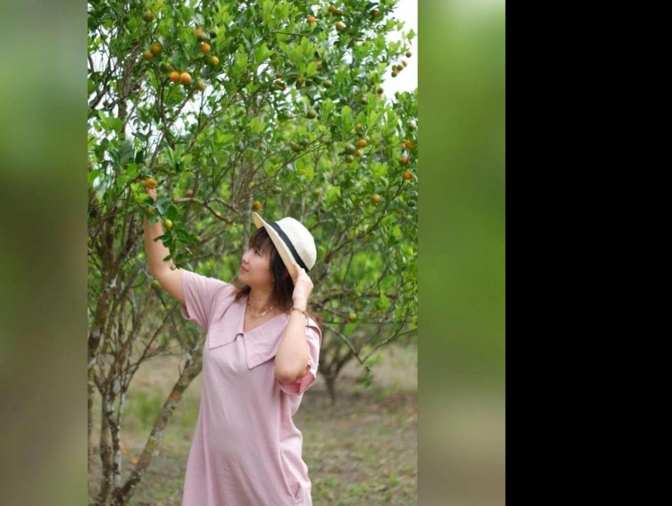 Agro Wisata