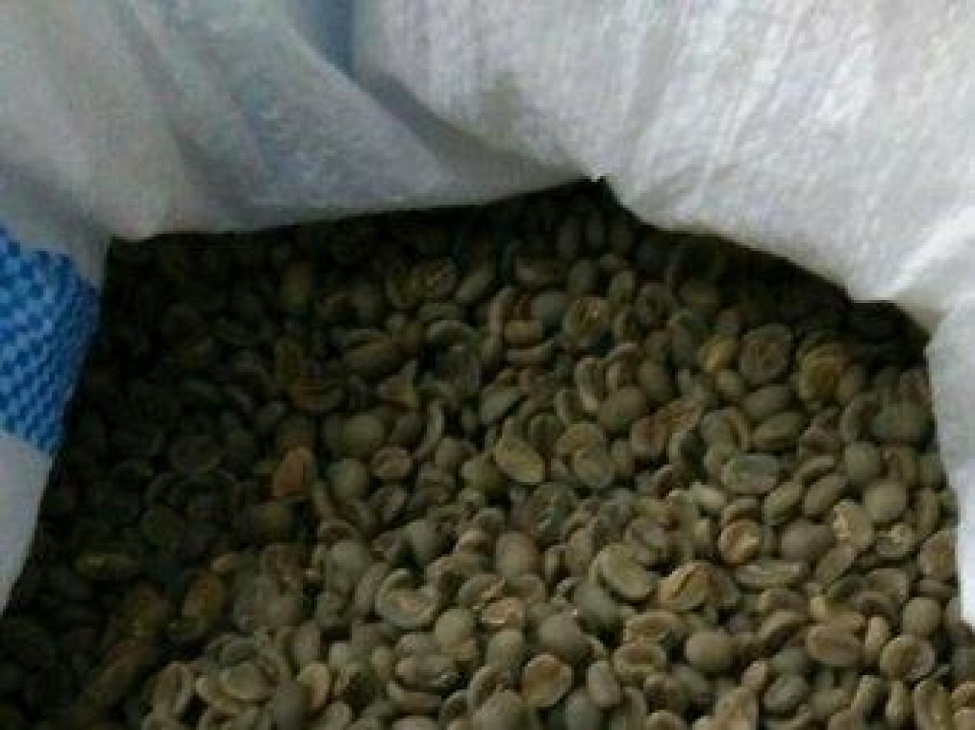 Kopi Biji