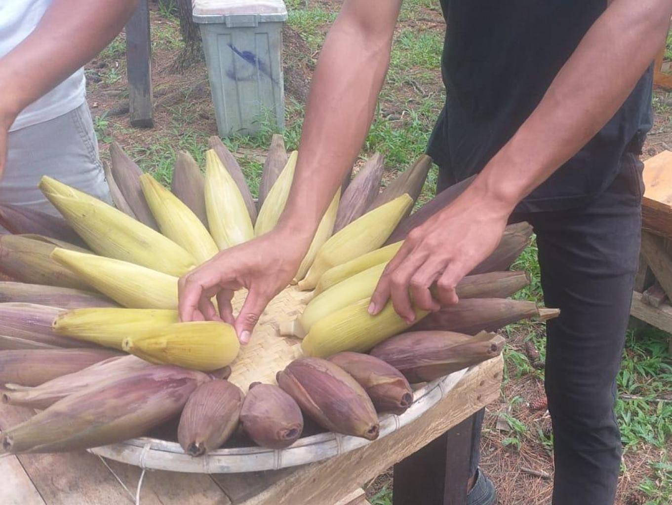 Jagung Ungu