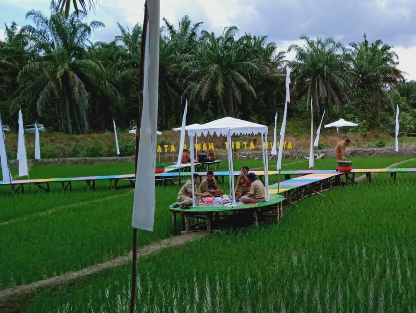 Wisata Sawah  Tirta Mulya