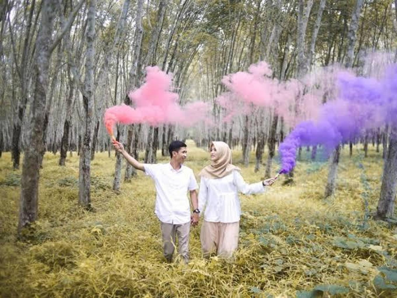 Hunting Hutan Karet