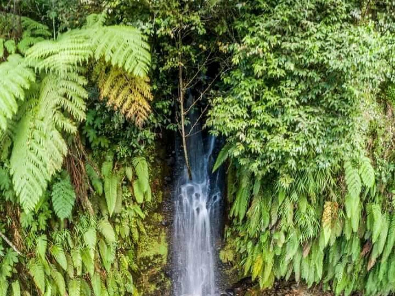 JELAJAH AIR TERJUN