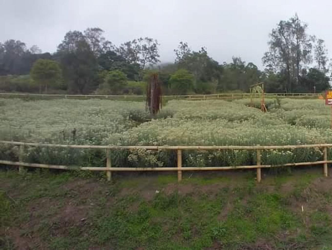 Agrowisata Edelweiss