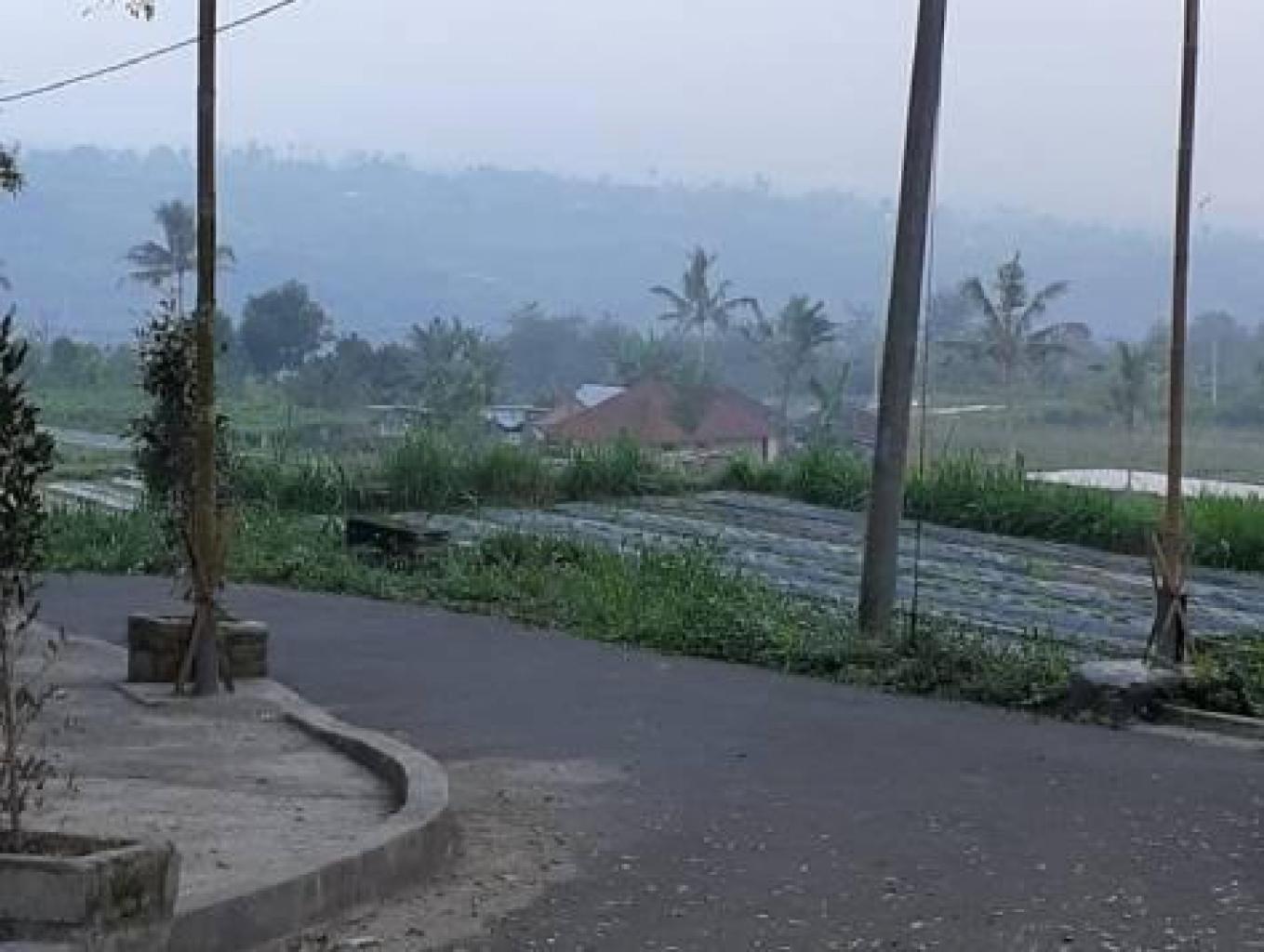 Perkebunan Sayur Mayur