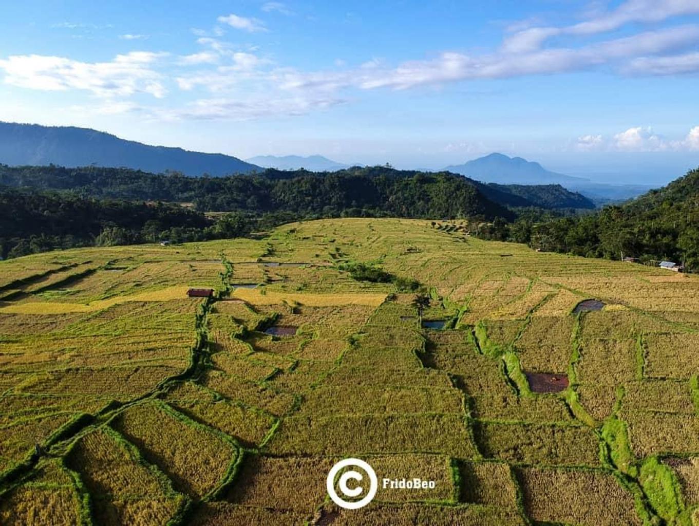 Agrowisata  Golo Loni