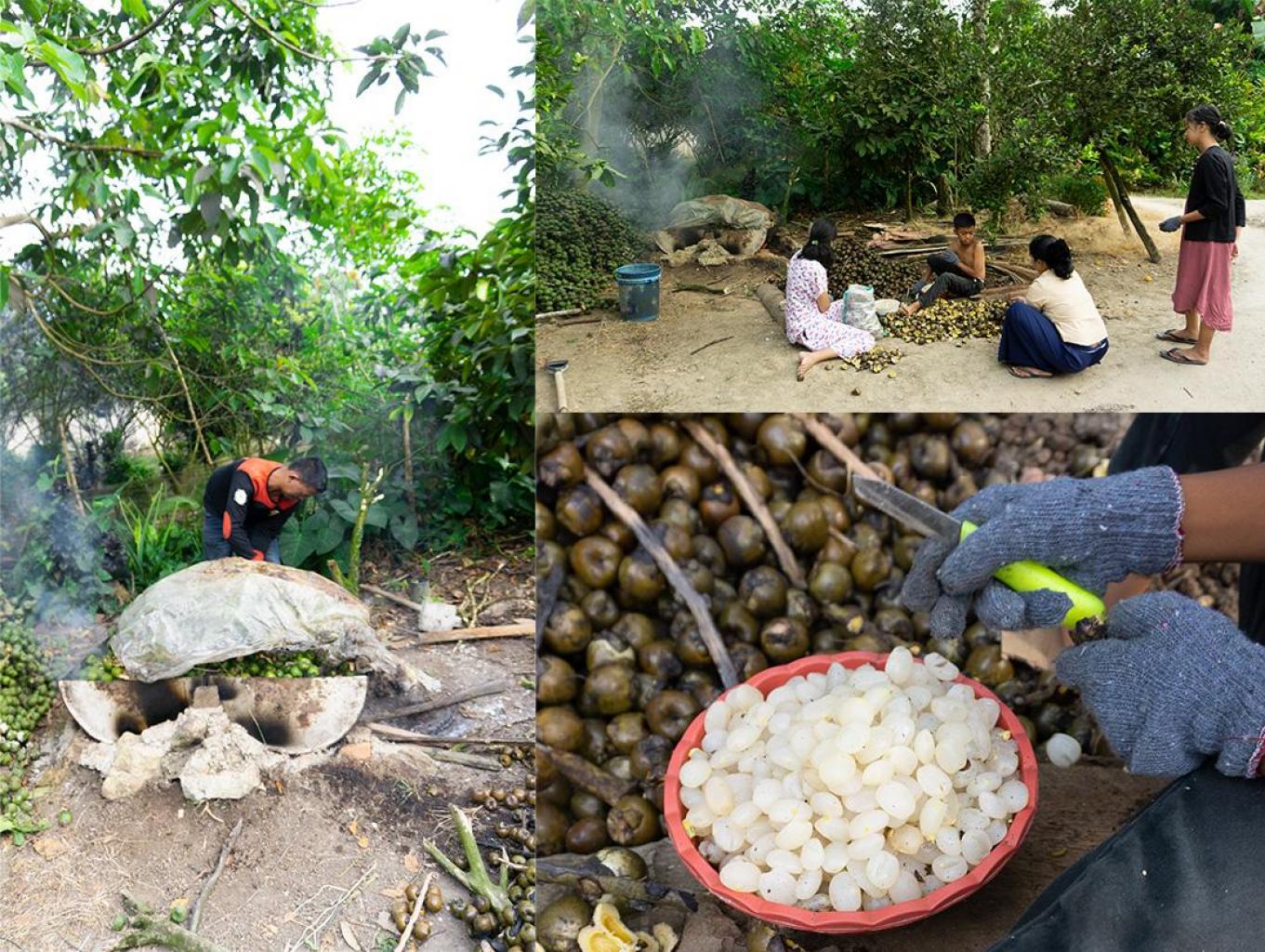 Mengamati pengolahan boluak (kolang kaling) di Desa Wisata Nagata