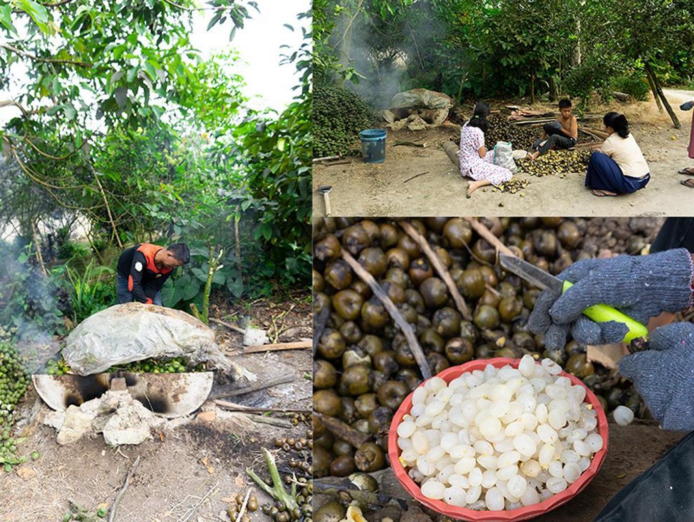 Boluluak (Kolang kaling)