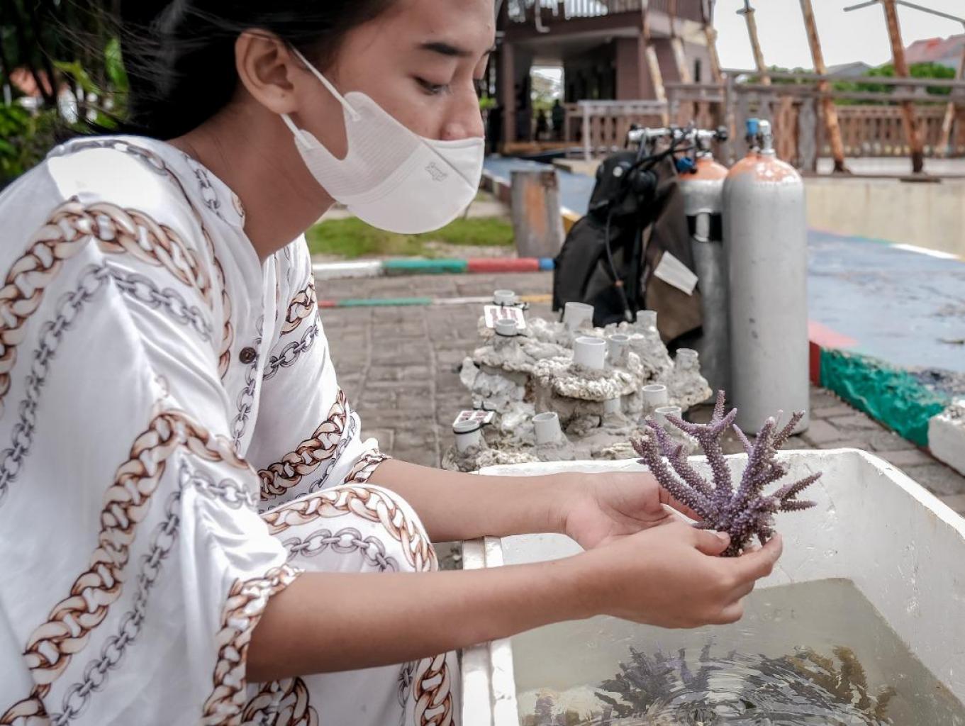 Tranplantasi Terjmbu Karang