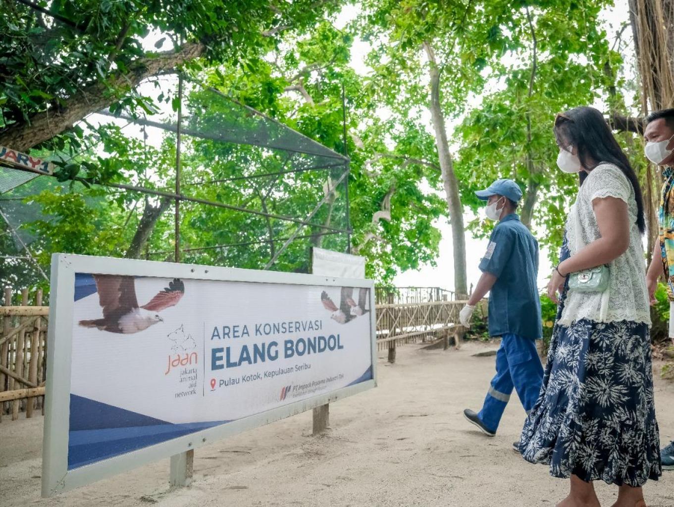 Konservasi Elang Bondol