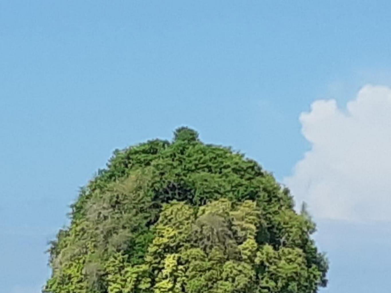 Pulau Burung