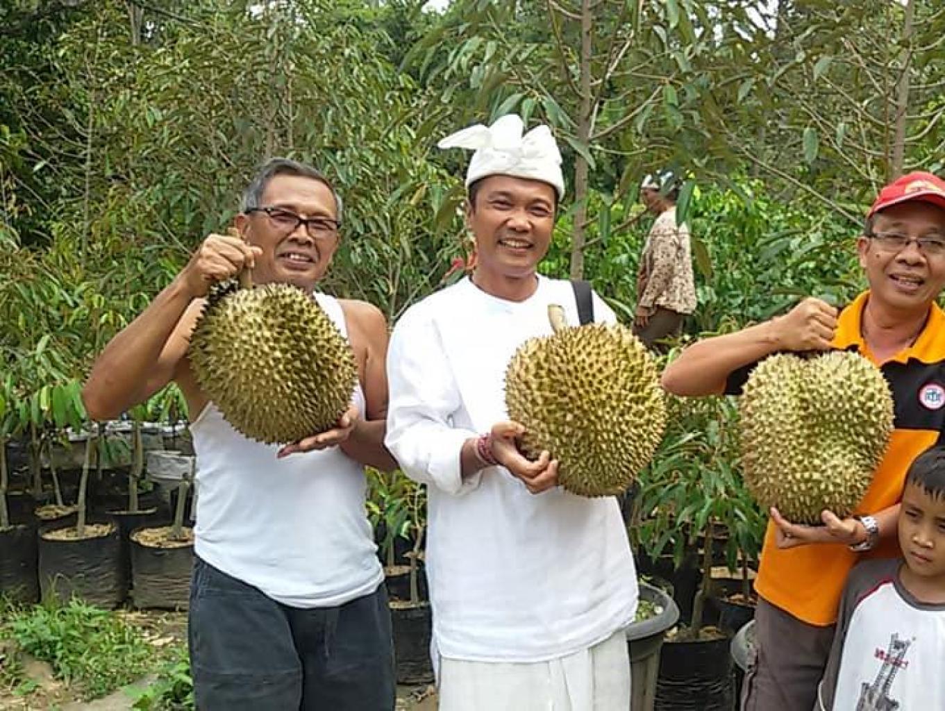 Durian Sudaji