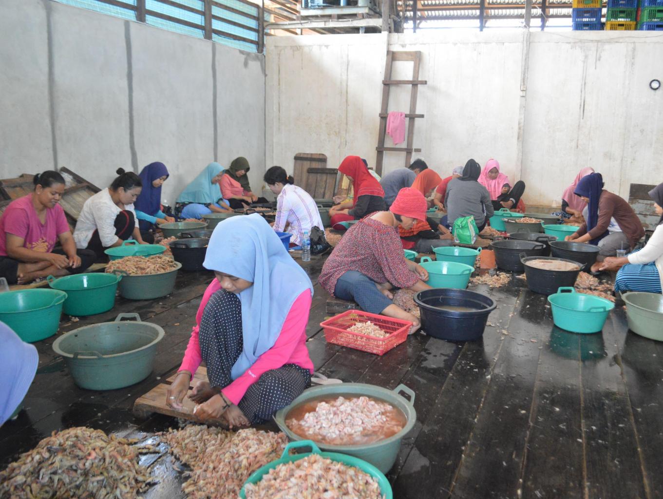 Ngupas Udang