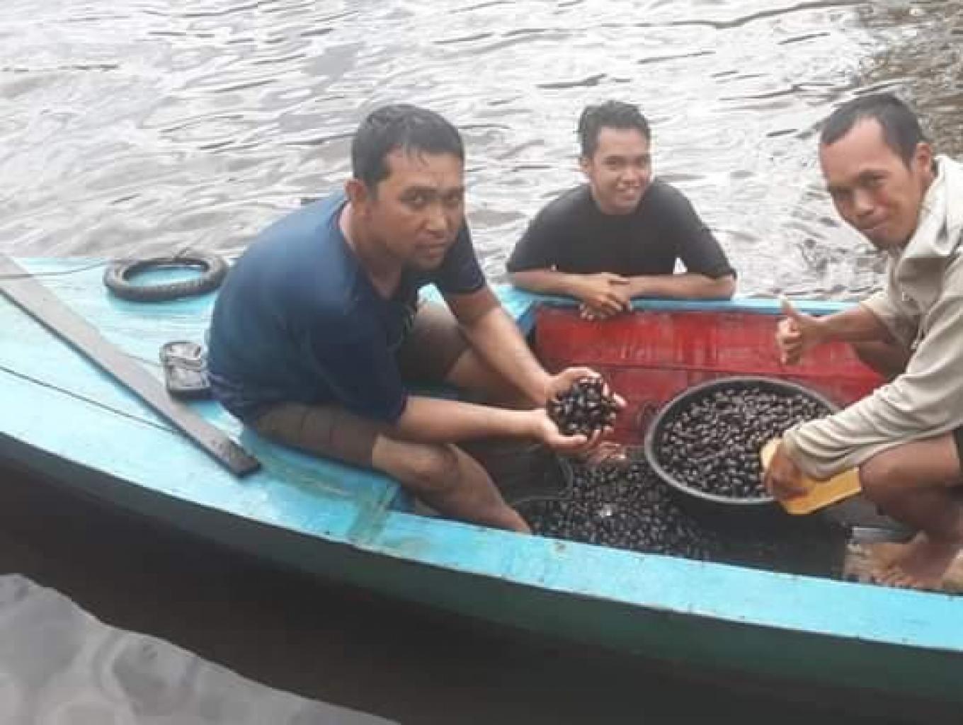 Mencari Remis