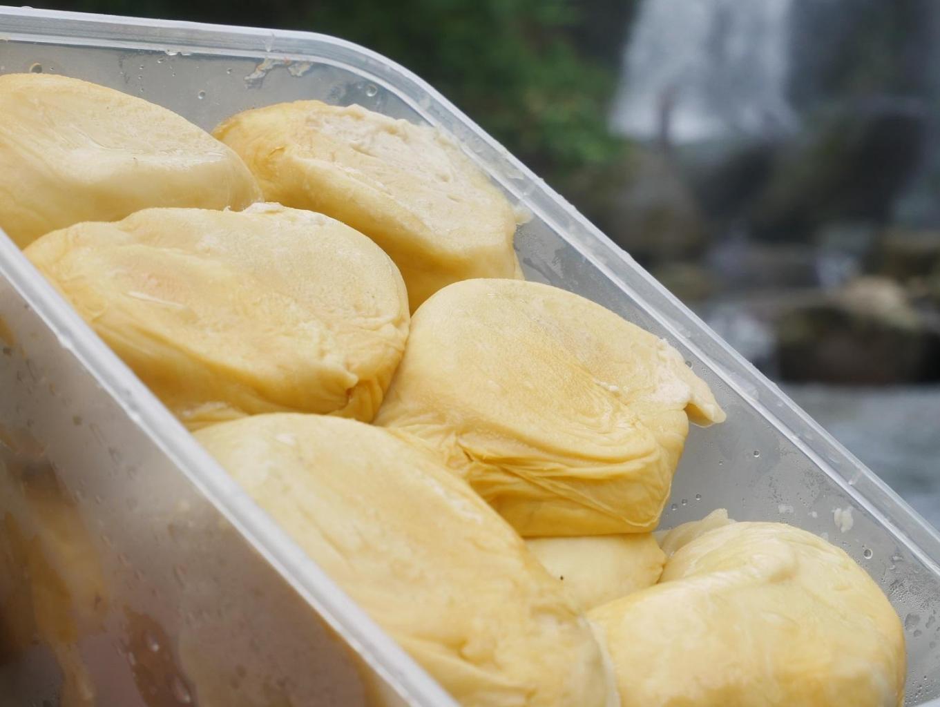 Durian Box