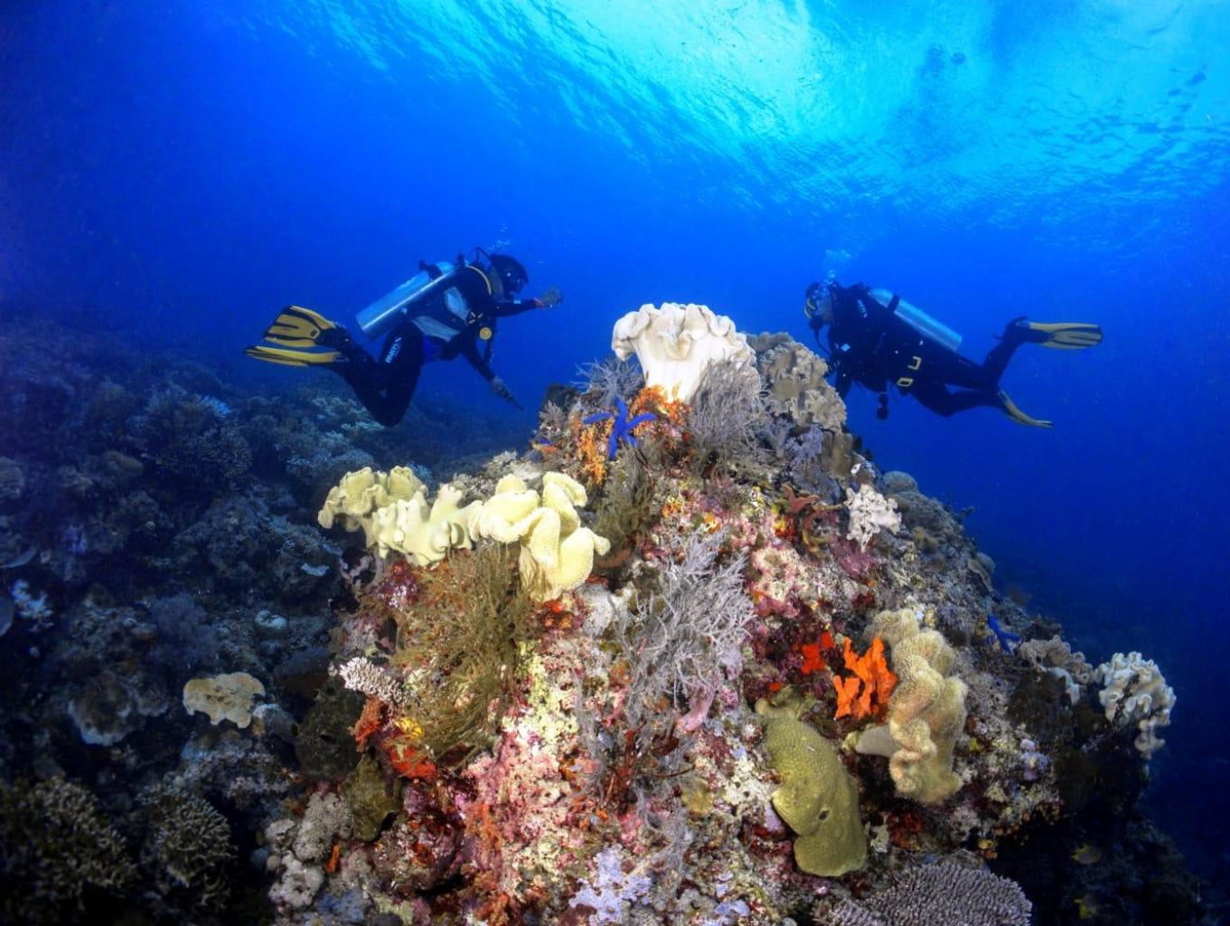 Diving