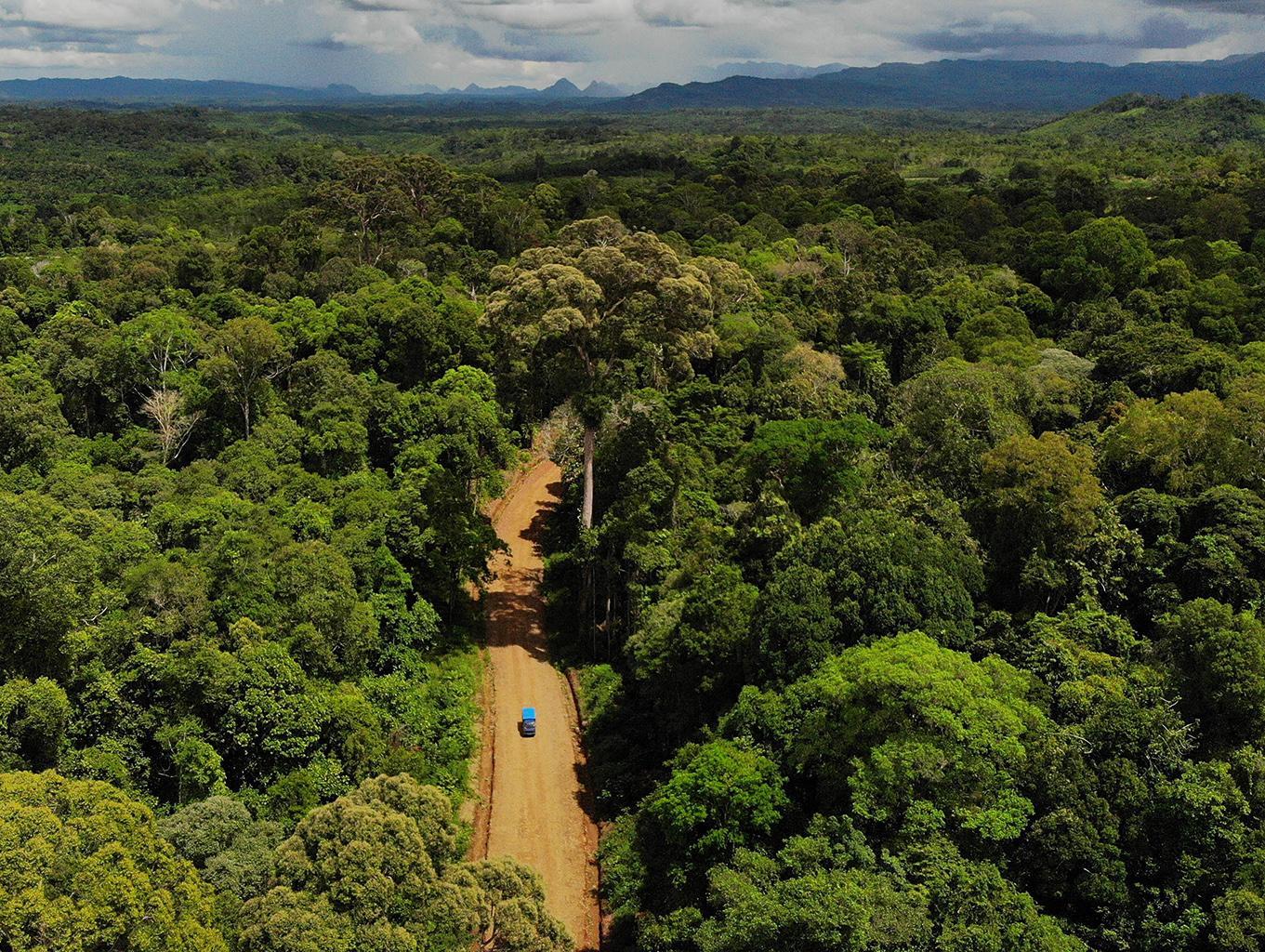 Explore Hutan Adat Pikul 