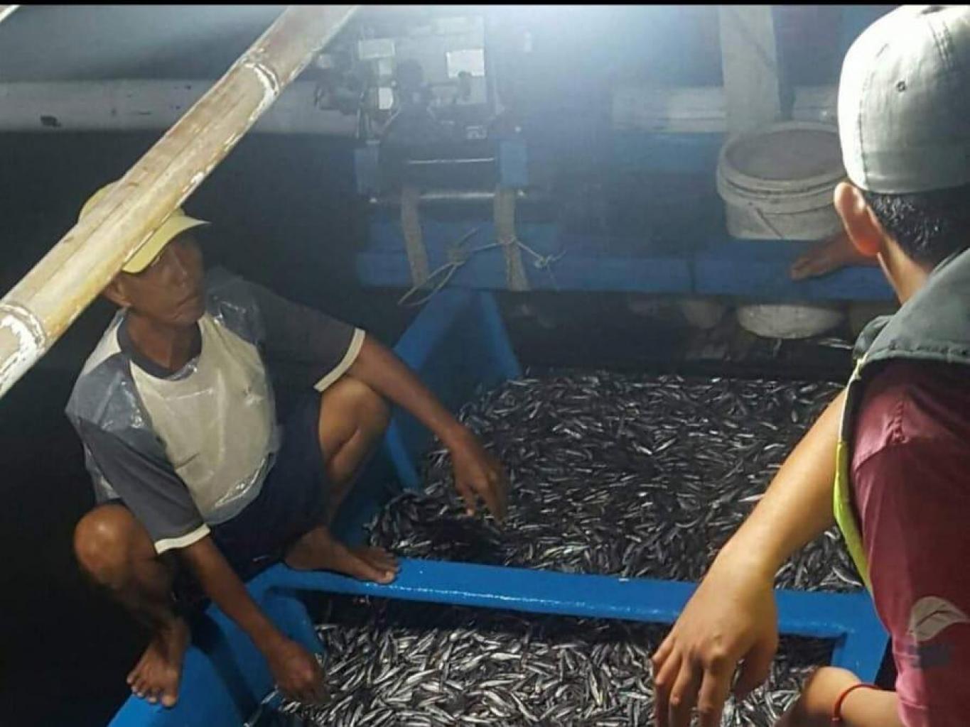 Hasil Tangkap Nelayan Mandar