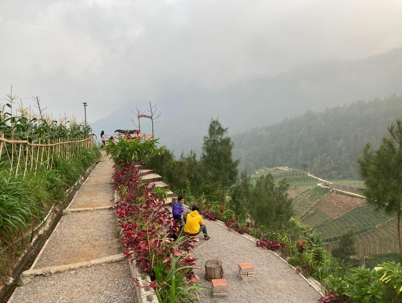 Bukit Sekudi Wonomulyo