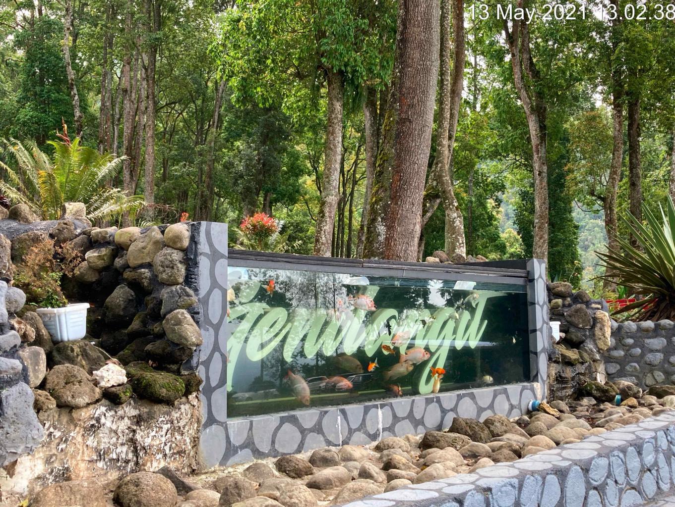 Aquarium Di Genilangit