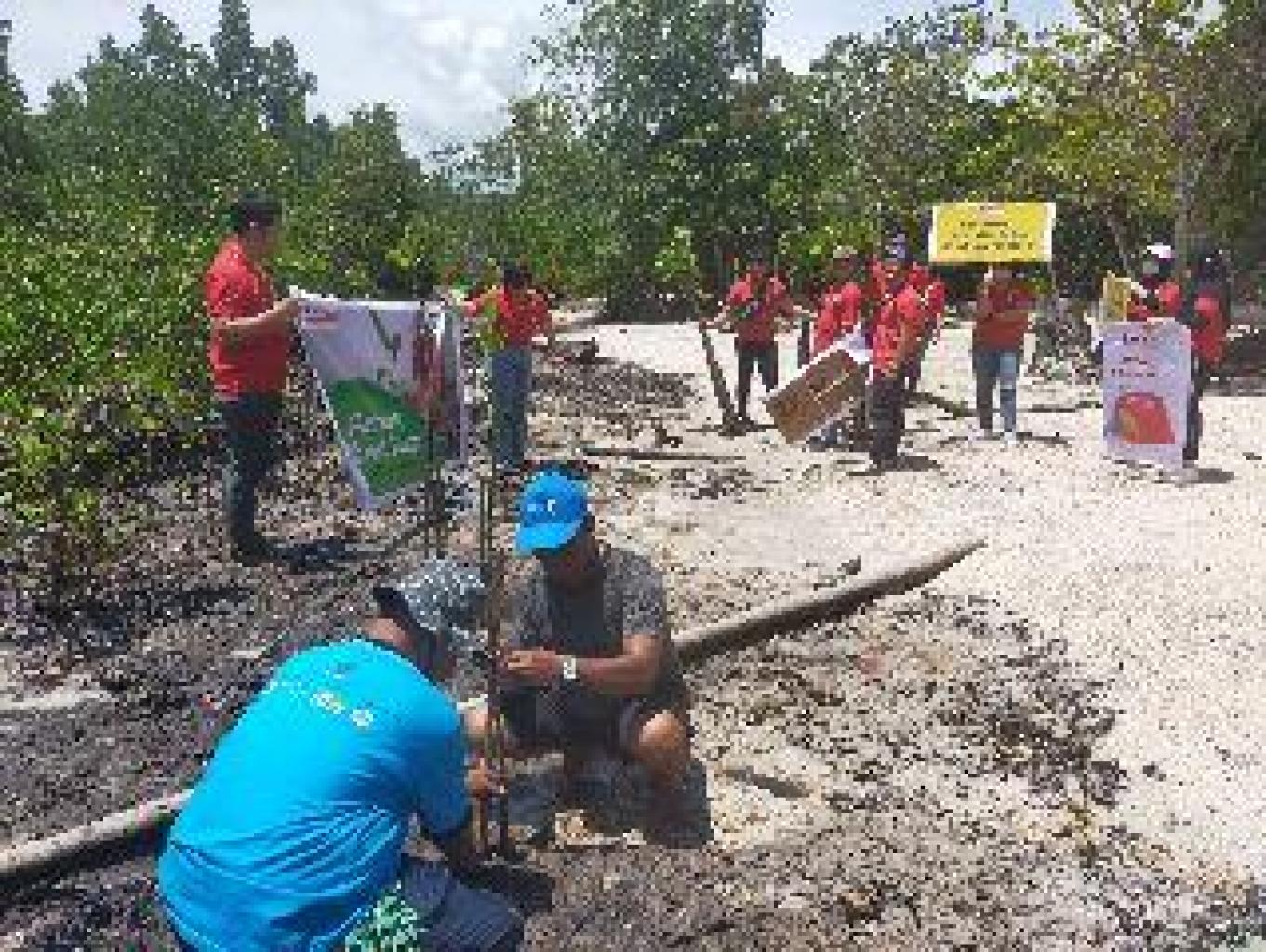 Penelitian Mangrove