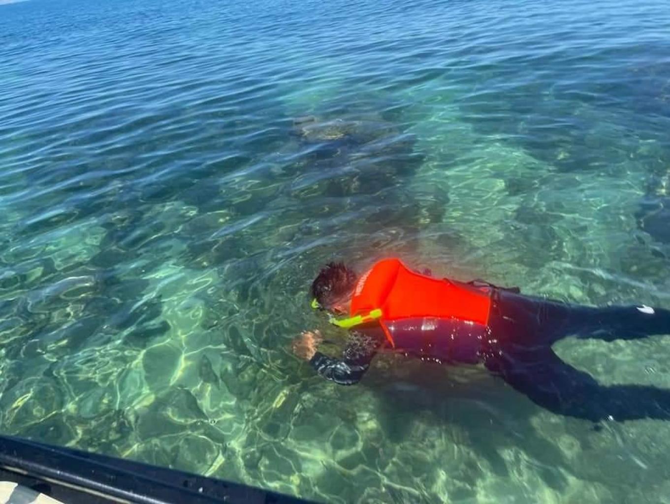 Diving