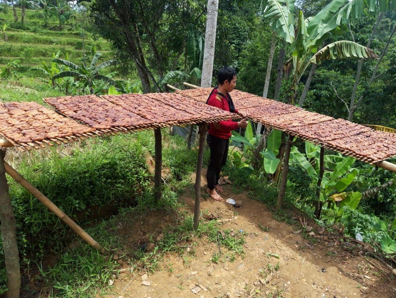 Proses Pembuatan Sale Pisang