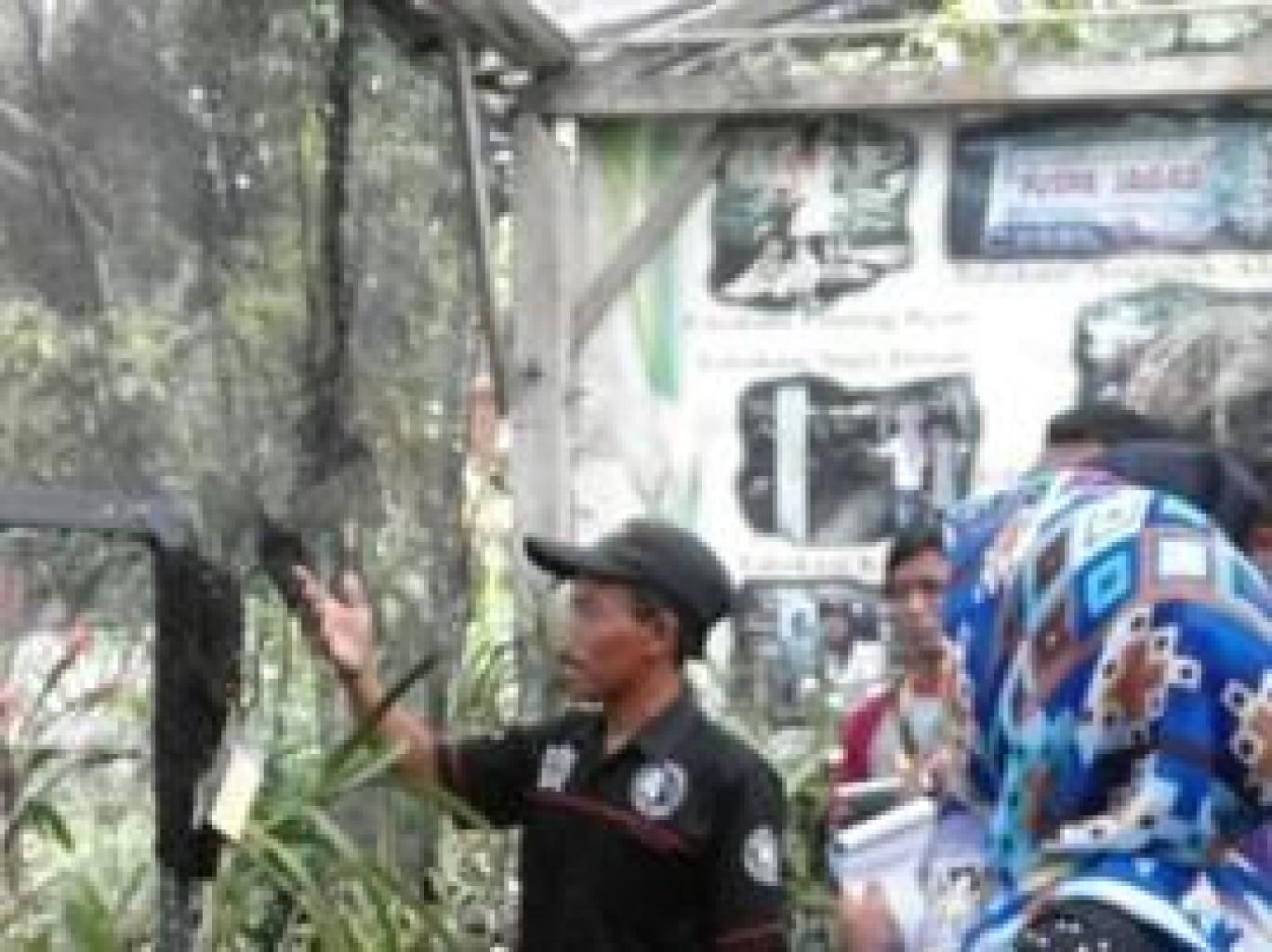 Edukasi Konservasi Anggrek Alam