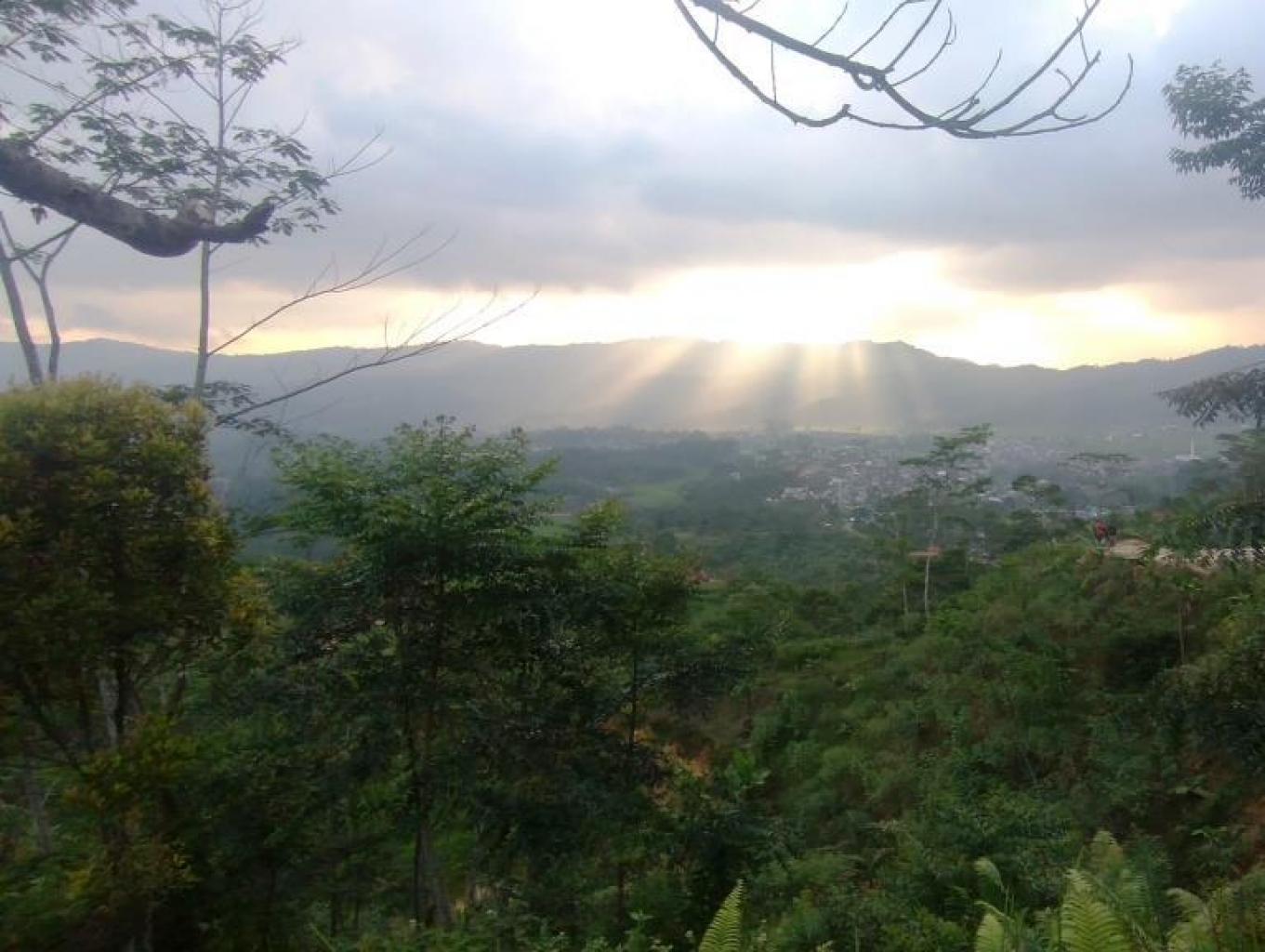 Citorek View Point