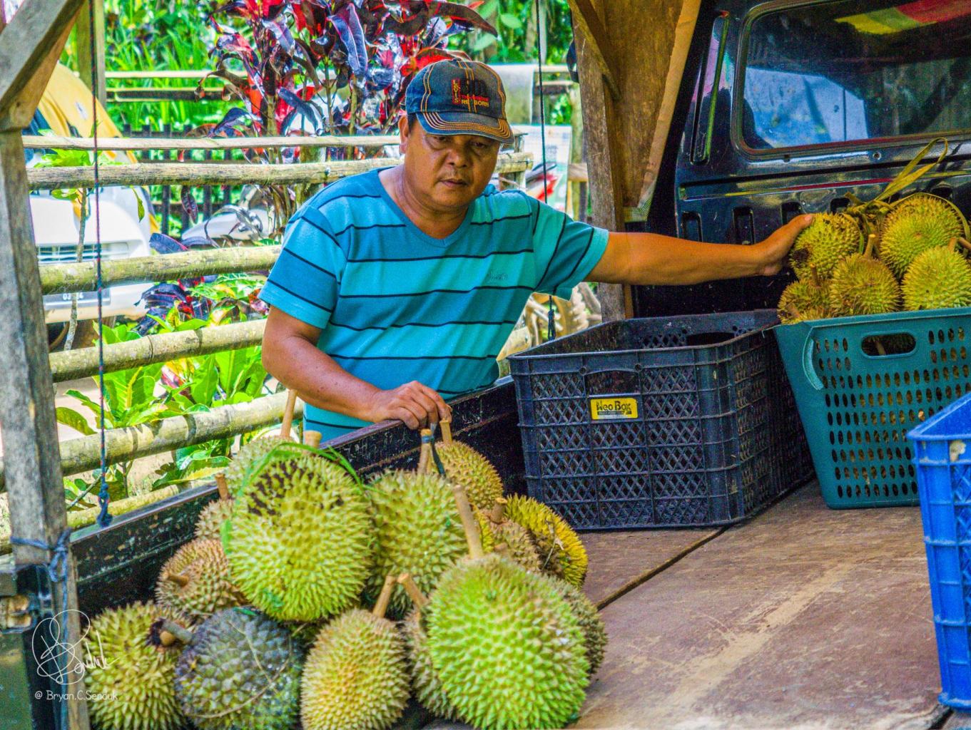 Buah Durian Berbagai Varian