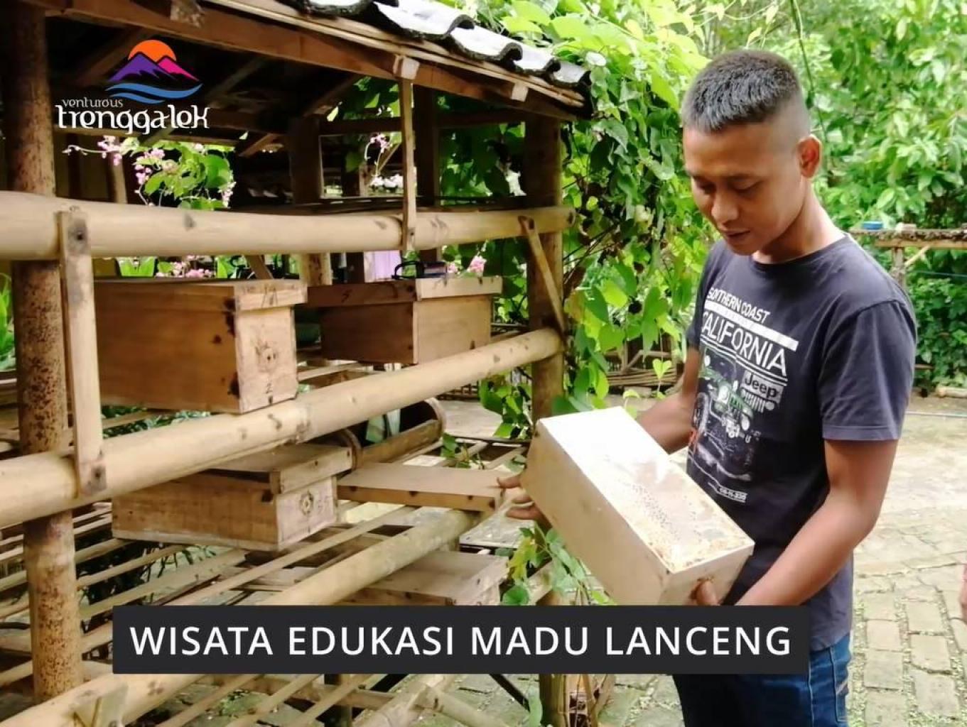 Eduwisata Madu Klanceng