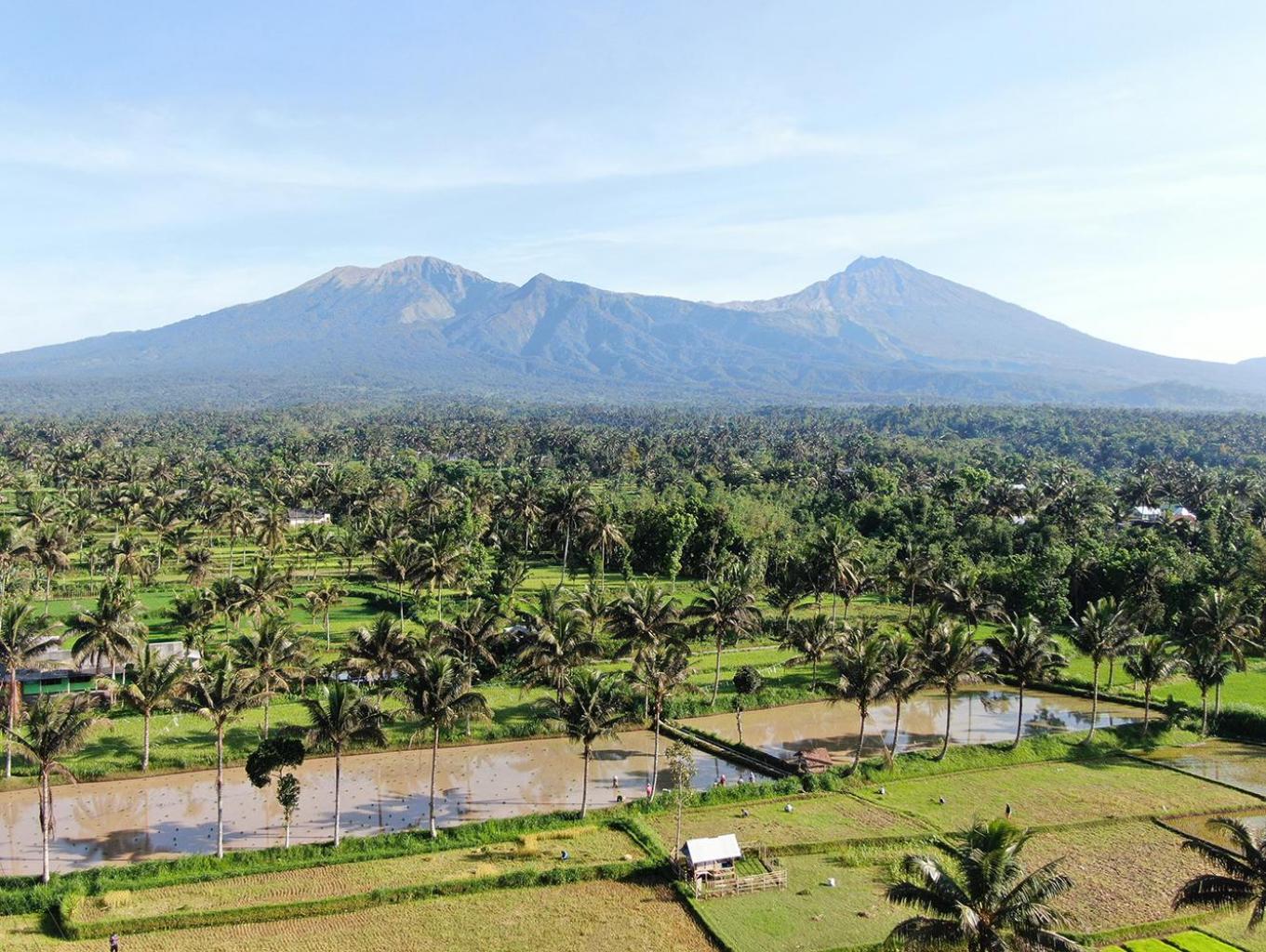 Alam Desa Tetebatu Selatan
