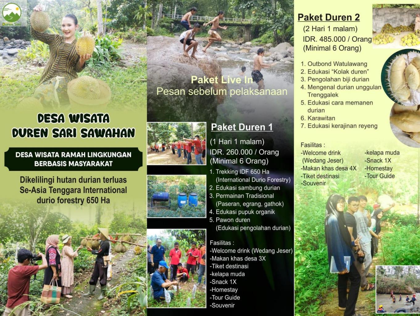 Live In Paket Duren 1