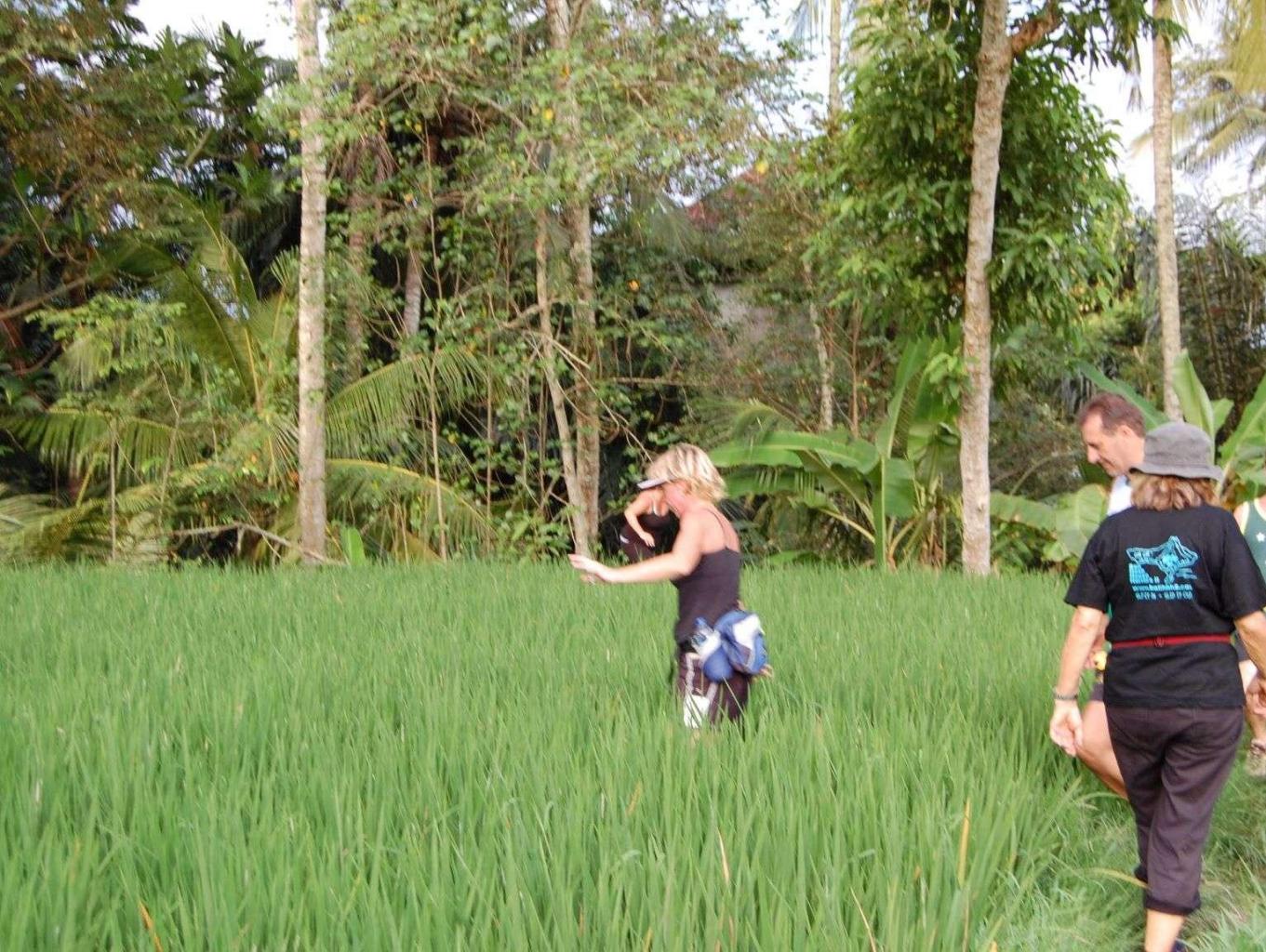 Berjalan Jalan Dipematang Sawah