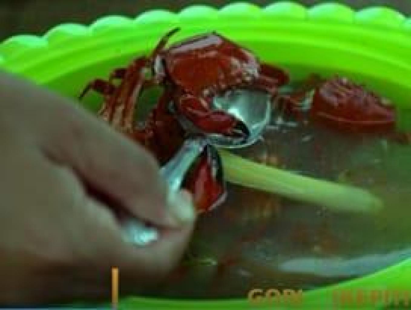 Gori (kepiting Danau)