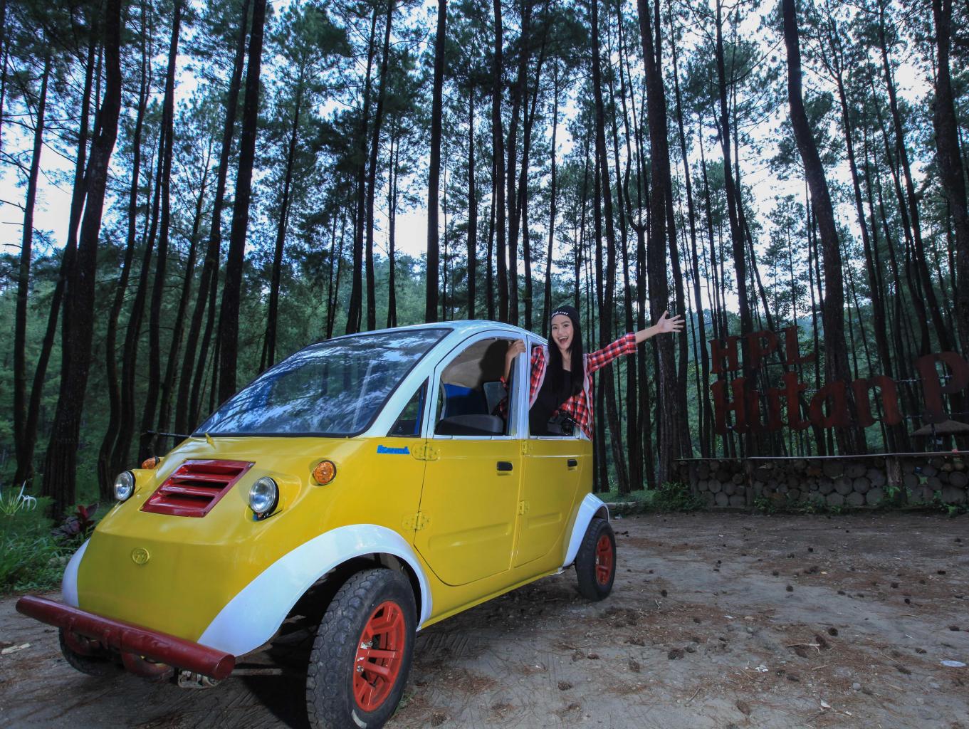 Wisata Hutan Pinus Loji