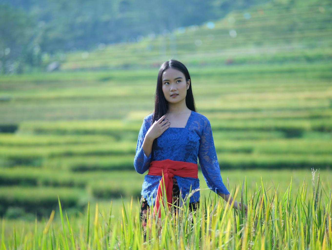 Sawah Terasiring Celeng