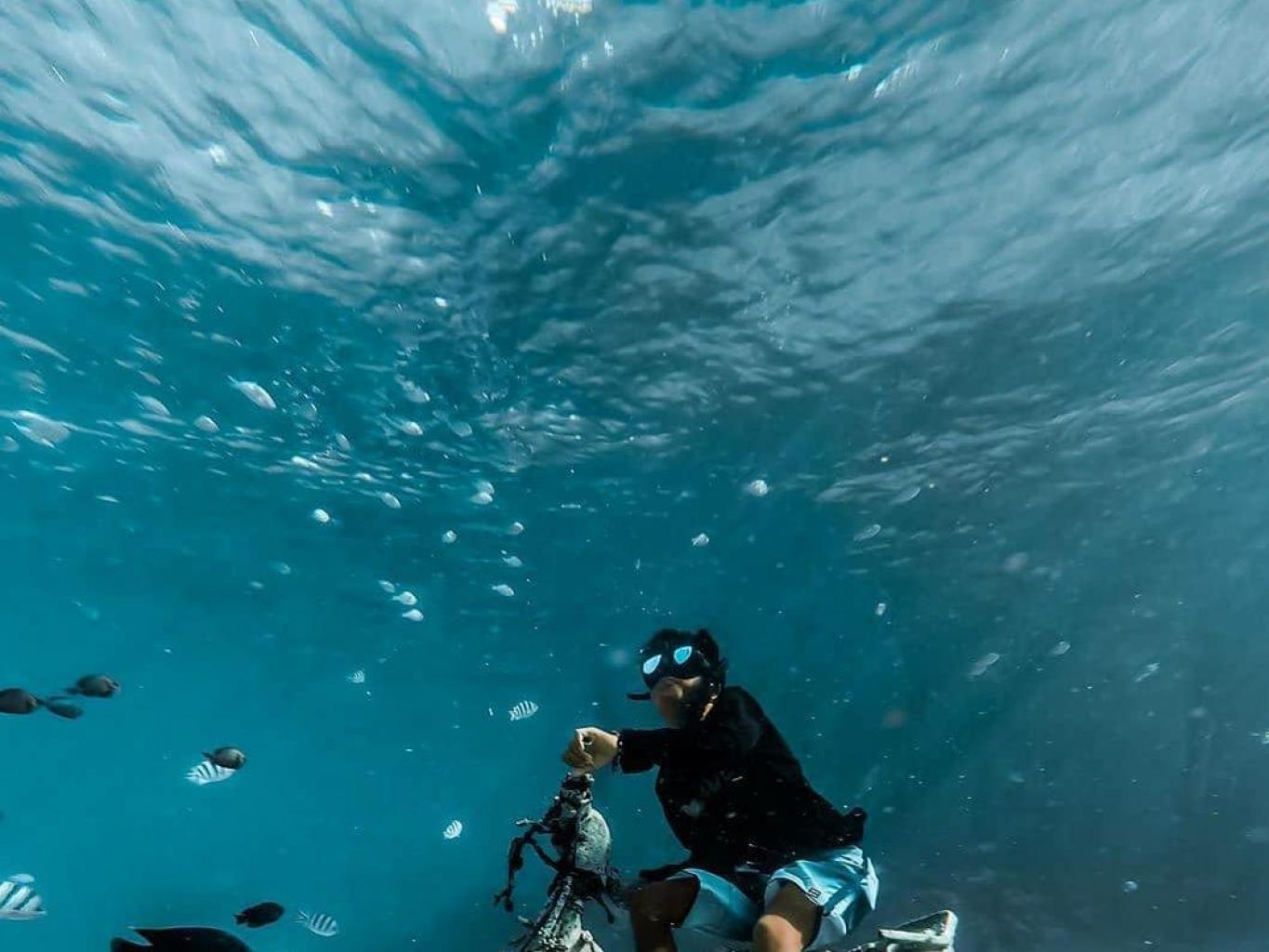 Wisata Alam Bawah Laut Kampung Pulau Derawan
