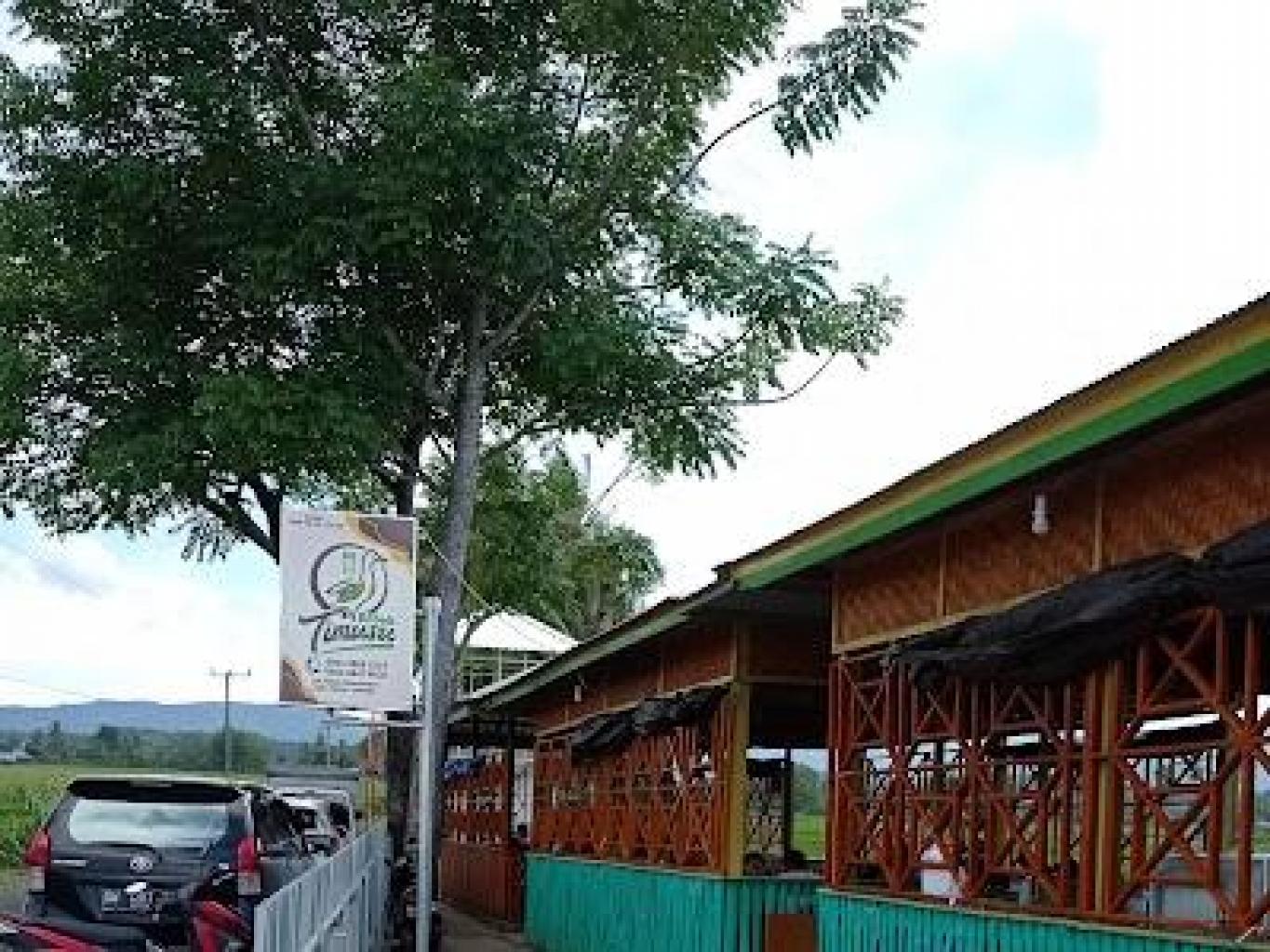 Bebek Palekko Timusu