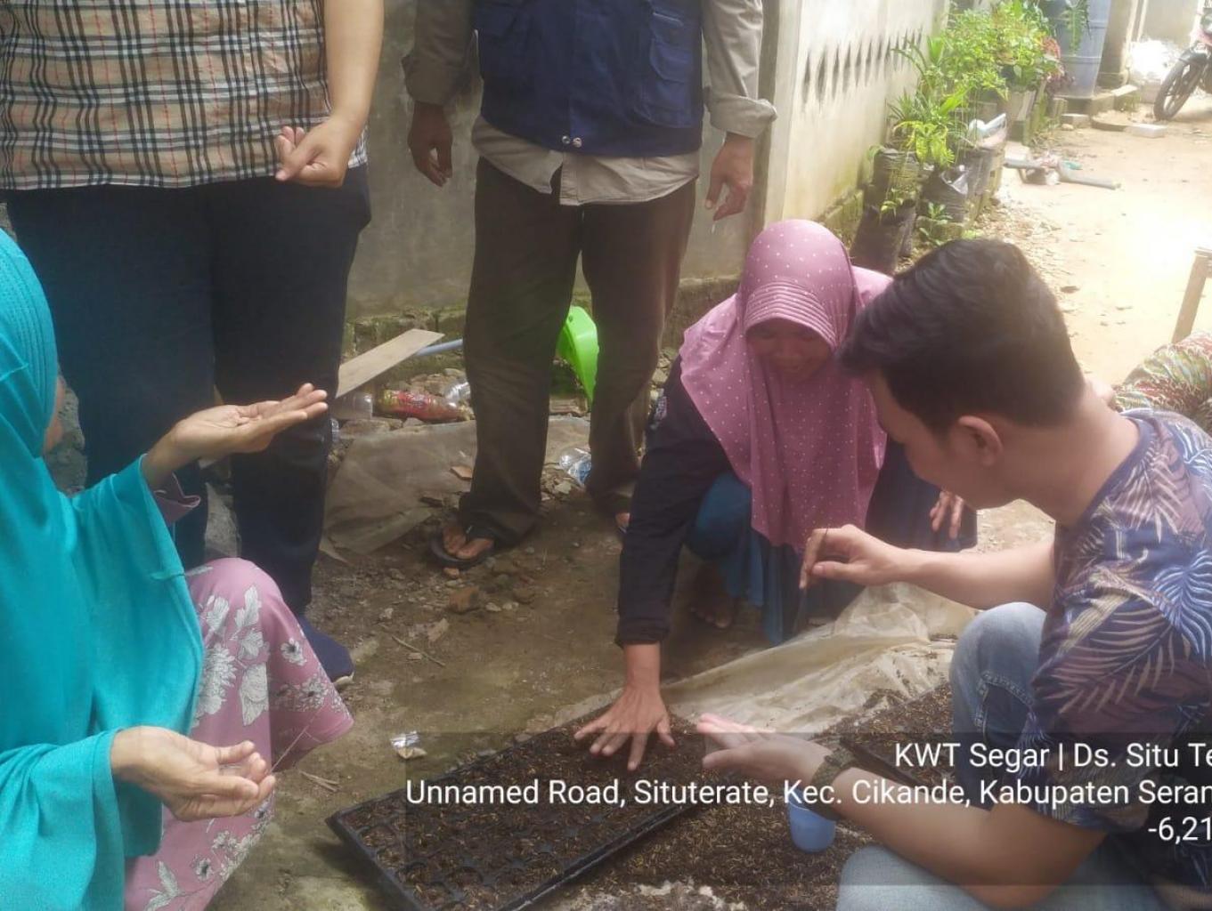 Kelompok Wanita Tani Tegar Desa Situterate