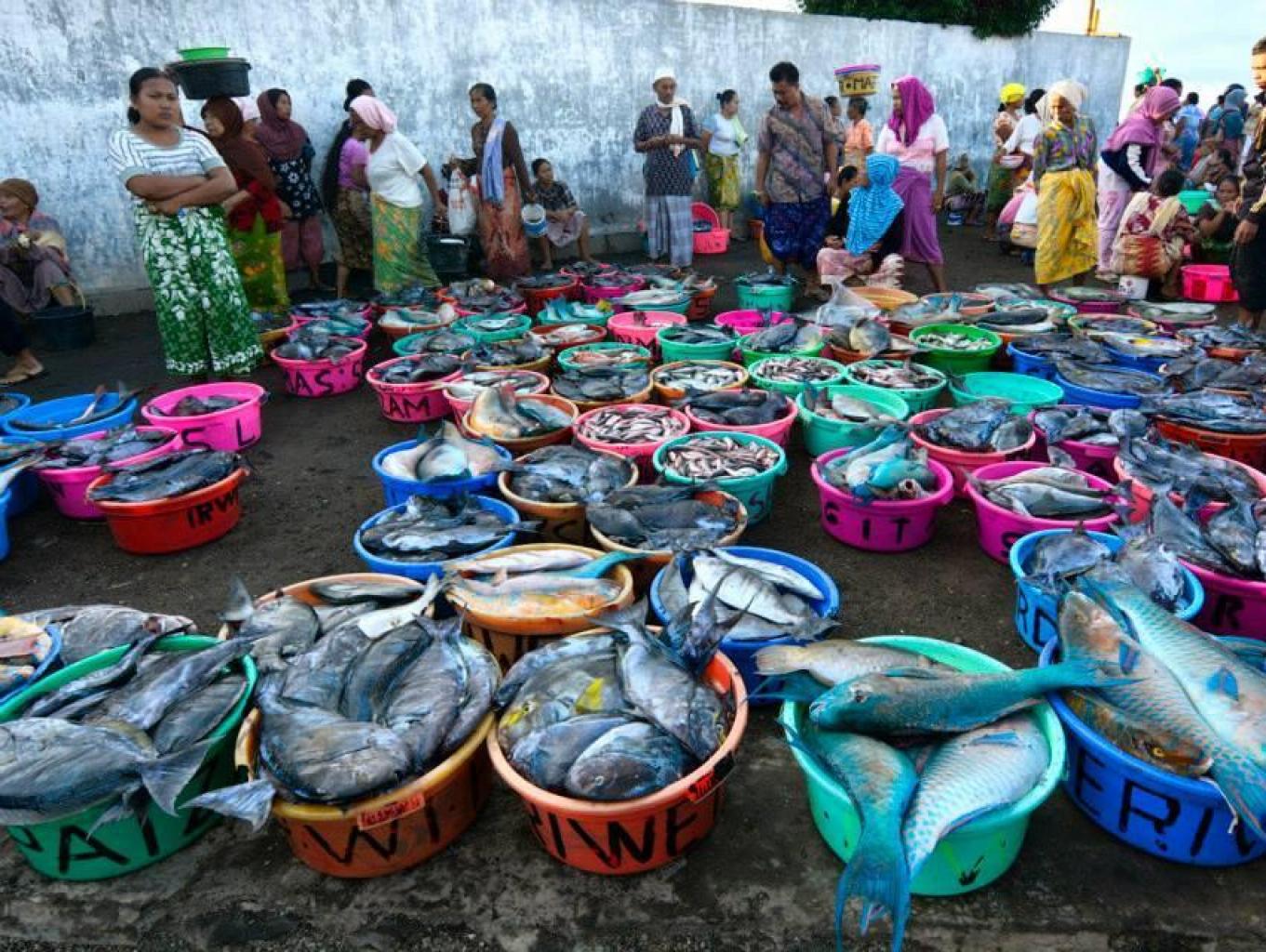 Tempat Pelelangan Ikan