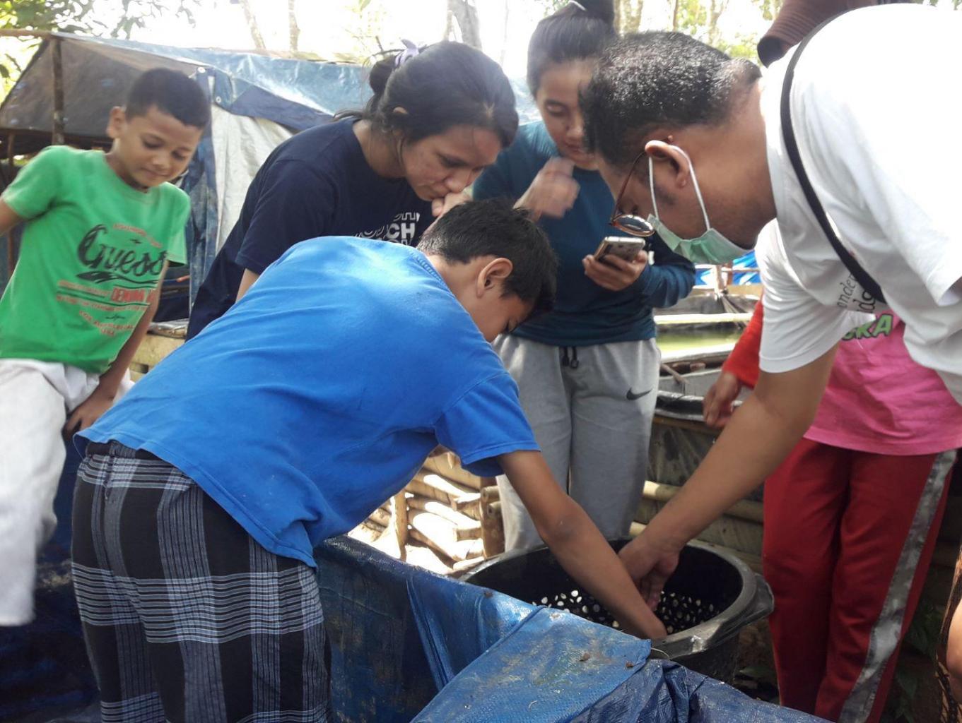 Aktifitas Panen Ikan Lele