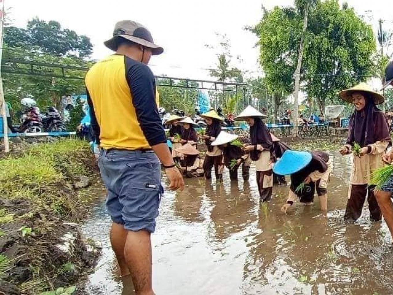 Edukasi Menanam Padi