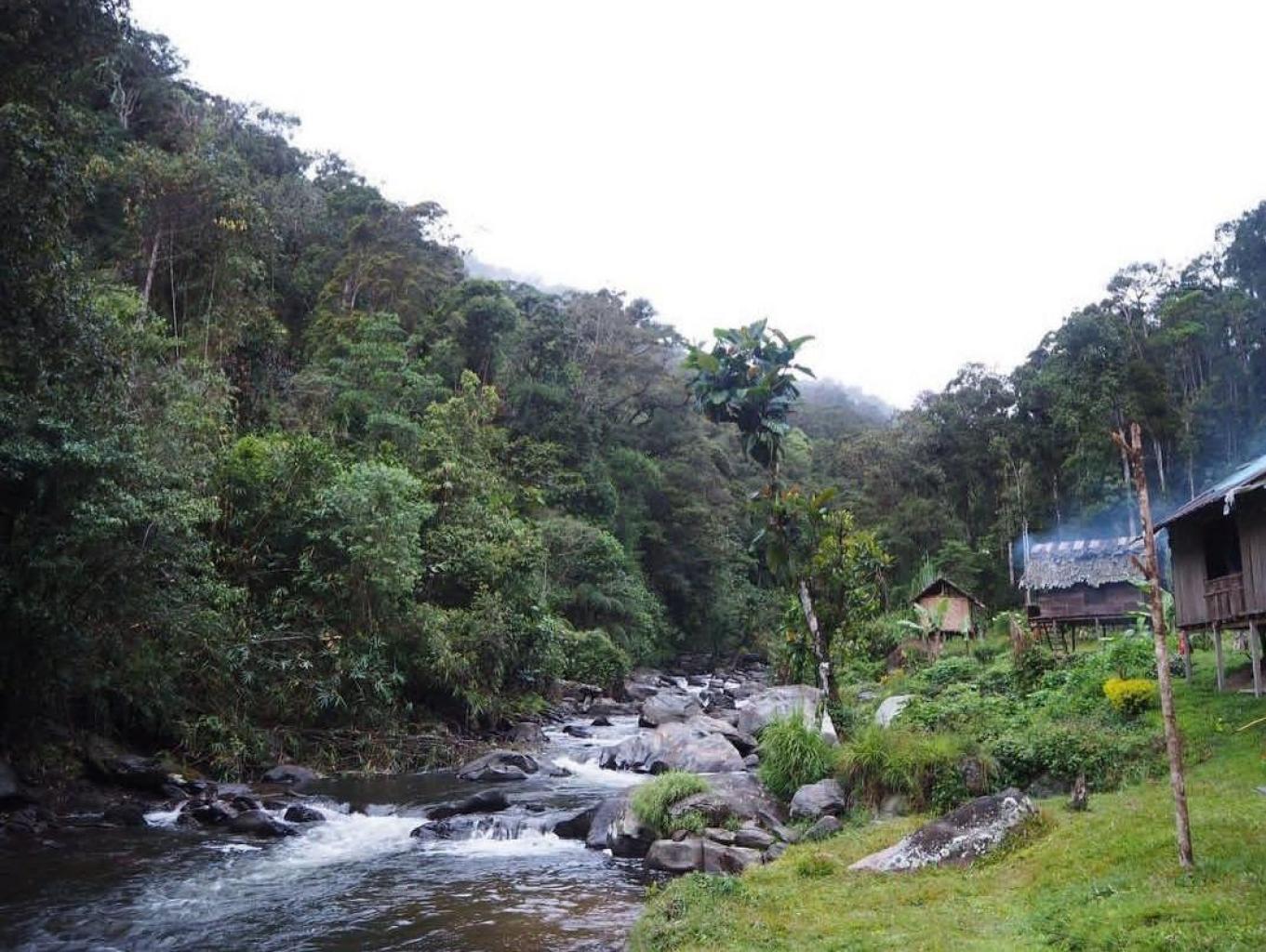 Perkampungan Alsli